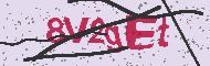 Codice captcha